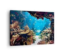 Moderne Impression sur Toile Océan Récif Poissons Corail Image Tableau Decoration Murale 70x50cm Deco Cadre Décoration Salon Chambre Horizontal Tableaux Decoratifs Muraux Art Wall AA70x50-2872
