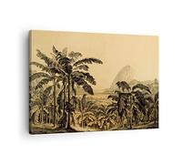 Moderne Impression sur Toile Palmiers Forest Des Pluies Image Tableau Decoration Murale 70x50cm Deco Cadre Décoration Salon Chambre Cuisine Horizontal Tableaux Decoratifs Muraux Art Wall AA70x50-4983