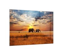 Moderne Impression sur Verre 100x70cm Image Tableau en Verre Decoration Murale Les éléphants Safari jungle buisson Grand Tableaux Decoratifs Muraux Chambre Horizontal Deco Salon Art GAA100x70-3150