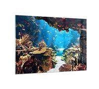 Moderne Impression sur Verre 100x70cm Image Tableau en Verre Decoration Murale Océan Récif Poissons Corail Grand Tableaux Decoratifs Muraux Chambre Horizontal Deco Cadre Salon Art GAA100x70-2872
