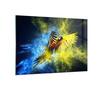 Moderne Impression sur Verre 100x70cm Image Tableau en Verre Decoration Murale perroquet oiseau plume Grand Tableaux Decoratifs Muraux Chambre Cuisine Horizontal Deco Cadre Salon Art GAA100x70-3666