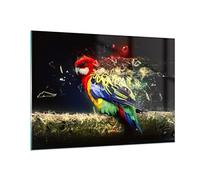 Moderne Impression sur Verre 100x70cm Image Tableau en Verre Decoration Murale perroquet oiseau plume Grand Tableaux Decoratifs Muraux Chambre Cuisine Horizontal Deco Cadre Salon Art GAA100x70-3682