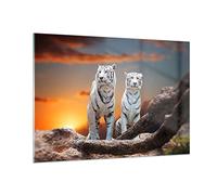 Moderne Impression sur Verre 100x70cm Image Tableau en Verre Decoration Murale Tigres blanc roche coucher de soleil Grand Tableaux Decoratifs Muraux Chambre Horizontal Deco Salon Art GAA100x70-2901