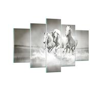 Moderne Impression sur Verre 150x100cm Image Tableau en Verre Decoration Murale Ferme chevaux galop liberté Grand XXL Tableaux Decoratifs Chambre Triptyque 5 parties Deco Salon Art GEA150x100-2389