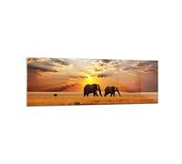 Moderne Impression sur Verre 160x50cm Image Tableau en Verre Decoration Murale Les éléphants Safari jungle buisson Grand XXL Tableaux Decoratifs Chambre Panoramique Deco Salon Art GAB160x50-3150