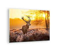 Moderne Impression sur Verre Automne paysage nature feuille Image Tableau en Verre Decoration Murale 70x50cm Deco Cadre Salon Chambre Horizontal Petit Tableaux Decoratifs Muraux Art GAA70x50-2552