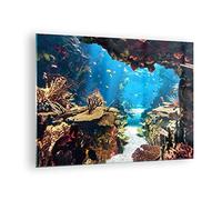 Moderne Impression sur Verre Océan Récif Poissons Corail Image Tableau en Verre Decoration Murale 70x50cm Deco Cadre Salon Chambre Cuisine Horizontal Petit Tableaux Decoratifs Muraux Art GAA70x50-2872
