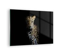 Moderne Impression sur Verre Ombragé Léopard Panthère Image Tableau en Verre Decoration Murale 70x50cm Deco Cadre Salon Chambre Cuisine Horizontal Petit Tableaux Decoratifs Muraux Art GAA70x50-4585
