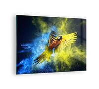 Moderne Impression sur Verre perroquet oiseau plume Image Tableau en Verre Decoration Murale 70x50cm Deco Cadre Salon Chambre Cuisine Horizontal Petit Tableaux Decoratifs Muraux Art Wall GAA70x50-3666