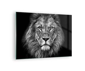 Moderne Impression sur Verre Portrait Lion Noir Et Blanc Image Tableau en Verre Decoration Murale 70x50cm Deco Cadre Salon Chambre Cuisine Horizontal Petit Tableaux Decoratifs Muraux Art GAA70x50-4494