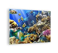 Moderne Impression sur Verre Récif corallien océan crabe poisson Image Tableau en Verre Decoration Murale 70x50cm Deco Cadre Salon Chambre Horizontal Petit Tableaux Decoratifs Muraux Art GAA70x50-2662
