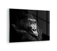 Moderne Impression sur Verre Singe Gorille Portrait Image Tableau en Verre Decoration Murale 70x50cm Deco Cadre Salon Chambre Cuisine Horizontal Petit Tableaux Decoratifs Muraux Art Wall GAA70x50-5007