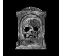 MODESELEKTOR-TREES (FEAT. PAUL ST.HILAIRE)/50 TREES (12''/180G) VINYL LP NEUF