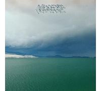 Modest Mouse The Fruit That Ate Itself (Vinyl) 12" Album