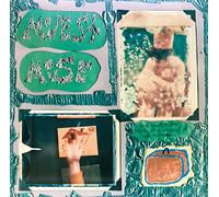 Modest Mouse - Sad Sappy Sucker