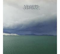 Modest Mouse – The Fruit That Ate Itself – Vinyle LP Import