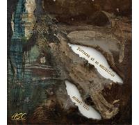 Modest Trio - Pictures At An Exhibition [New CD]