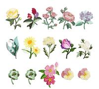 Modixun Lot de 15 mini écussons thermocollants à repasser, 13 motifs décoratifs, à coudre ou à repasser pour jeans, vêtements, chapeaux, vestes, mini fleurs