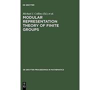 Modular Representation Theory Of Finite Groups