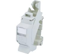 Telegärtner Module RJ45 AMJ-S CAT 6a T568B Boîtier femelle gris 1 pc(s)