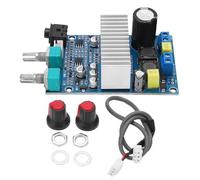 Module amplificateur audio, carte amplificateur audio - amplificateur numérique subwoofer 100 W | amplificateur audio, amplificateur mono numérique pour karaoké, , adaptateurs de commutation