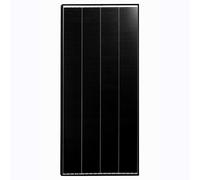 Module back-contact ng mono 100w bl