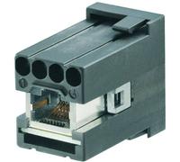 Module ConCept Weidmüller HDC CM RJ45 F 1950290000 1 pc(s)