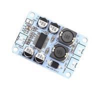 Module d ' amplificateur de puissance sonore numérique à canal unique, sortie 30W, faible consommation d ' énergie, sortie 30W, faible consommation d ' énergie, renforcement numérique