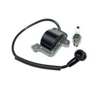 Module d'allumage Compatible avec Les brumisateurs 423 423S 2300677 2300800 2300807