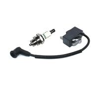 Module d'allumage Compatible avec MS261 MS261C MS261CBE MS261CQ MS261CQZ MS261VW MS261 VWZ MS261Z 1141 400 1302 1141 400 1304