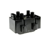 Module D'Allumage de la Bobine D'Allumage,Renault Clio/ Kangoo/ Logan/ Megane