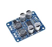 Module d'ampli audio numérique mono DC 12 V-24 V TPA3118 60 W