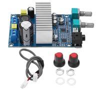 Module d'amplificateur mono numérique - Carte son de caisson de basses 100 W, puce d'amplificateur de puissance | Carte d'amplification Portable, pour Home cinéma, karaoké, système, mo