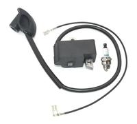 Module de Bobine d'allumage BM6A for Bougie, for Stihl FS120 FS120R FS200 FS250 FS300 FS350 BT120C BT121 FR35 Taille-Bordures 41344001301 Pièces détachées