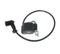 Module de bobine d'allumage Compatible avec BP42 RBL42BP RY08420 RY08420B RY08420A RY42WB 291424001 291424009 291424010