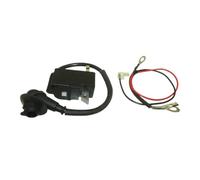 Module de bobine d'allumage compatible avec la tronçonneuse Stihl MS361 MS341 remplace 1135-400-1300