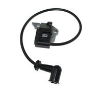 Module de Bobine d'allumage for BP42 RBL42BP RY08420 RY08420A RY42WB 291424001