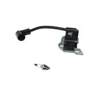 Module de bobine d'allumage for R-obi RY10519A RY10519B RY10520 RY10521 RY10521A 309261001 309261003 309261004