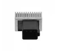 BorgWarner (BERU) Module de bougies de préchauffage GSE154 pour Ford, Nissan, Opel