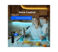 Module de Contrôleur LED Wi-Fi Tuya DC12V-24V 5CHx2A 5050 COB 2835 5 en 1 Variateur de Bande LED Interrupteur Tactile Tuya Life RF