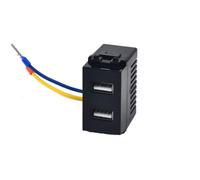 Module de prise de courant USB,Panneau d'alimentation de prise de charge de téléphone portable à deux ports,Prise 220V Transformateur 5V 2.1A Adaptateur de commutation pour prise de charge (Noir)