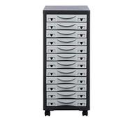 Module de Rangement sur Roulette 12 Tiroir avec porte Étiquette, Anthracite/Gris