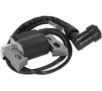 Module de remplacement de la bobine d'allumage pour moteur de générateur 152F 79.5CC 2.5HP