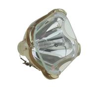 Module de Remplacement LMP-H202 for VPL-HW30 VPL-HW30AES VPL-HW30ES VPL-HW40ES VPL-HW50ES HW55ES HW55ES-B VPL-VW95ES(LMP-H202-CB)