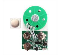 Module de salutation vocale 4 minutes à monter soi-même avec carte enregistrable et puce sonore magnétique