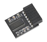 Module de sécurité de Cryptage de Carte à Distance 14 Broches, Processeur de Cryptage TPM Indépendant, adapté aux Cartes Mères pour 11, Mémoire Réservée avec Architecture PC