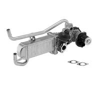 BorgWarner 710863D Module-EGR
