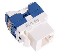 Module d'information CAT6, module RJ45 Cat6, usine stable pratique sûre fiable pour la transmission de signal