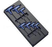 Module d'outils EXPERT avec 7 douilles à poignée en T Torx - compartiment d'insertion en plastique