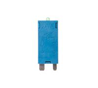 Module EMV, LED verte 6-24VAC/DC 99.01.0.024.59